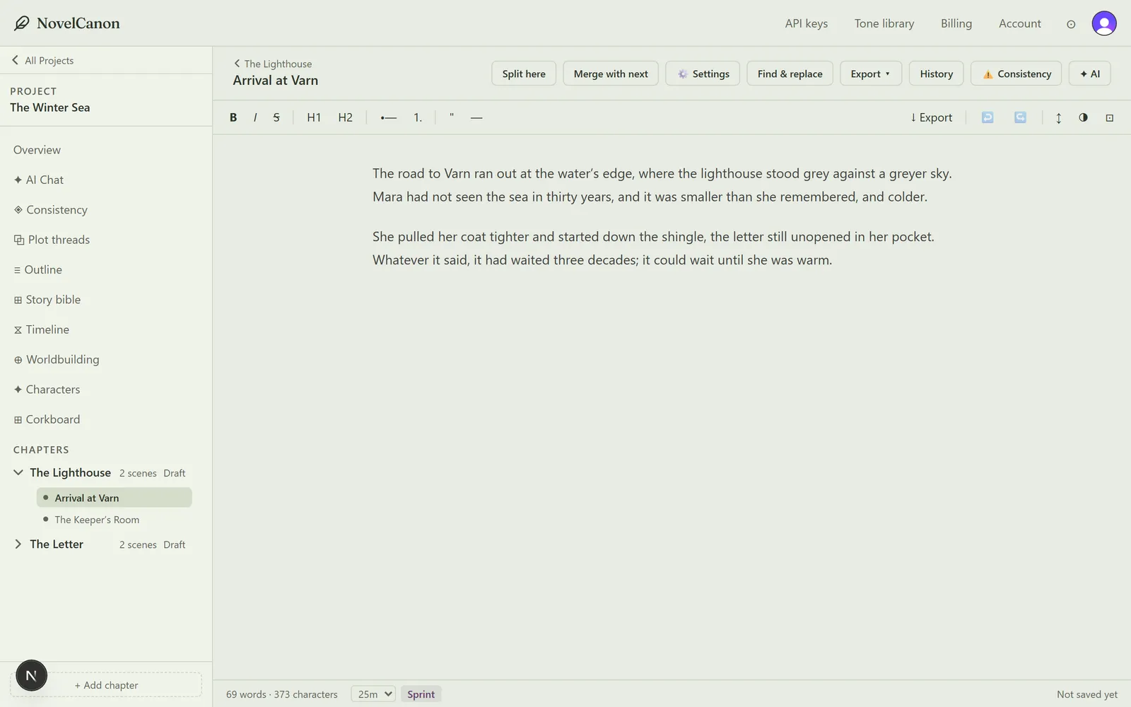 The NovelCanon editor with a manuscript open, a chapter and scene sidebar, and consistency and AI tools in the toolbar